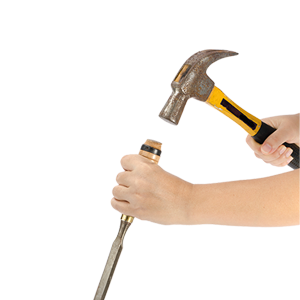 Houtrot, waar moet ik op letten?